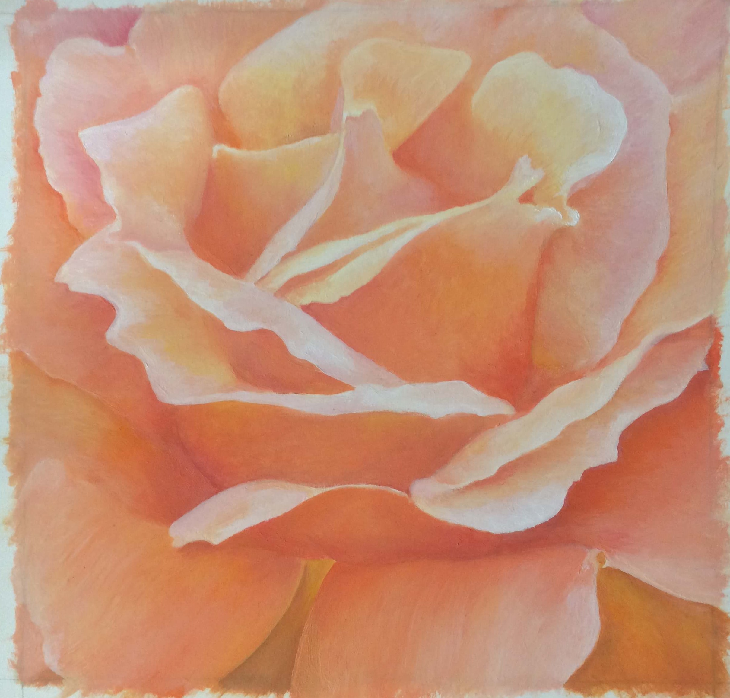 Beautiful rose painting